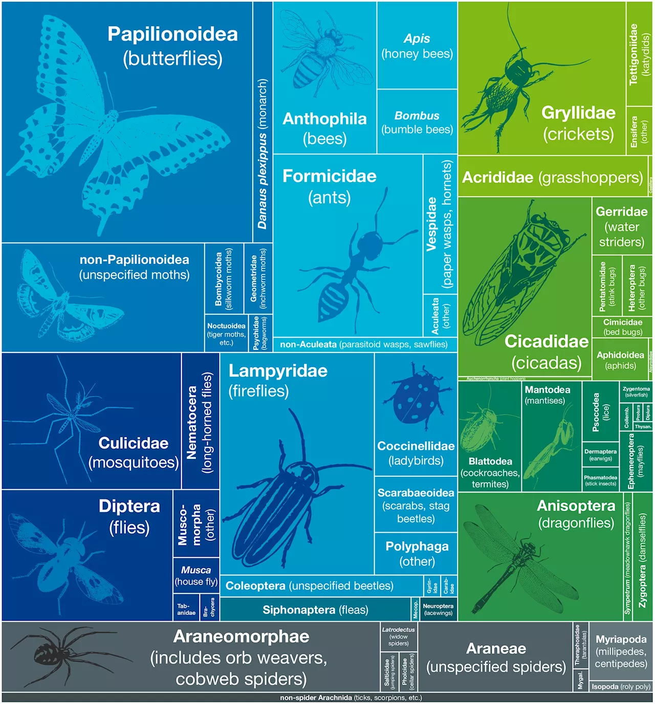 Haiku poems may shine a light on humans' relationship with insects, study suggests