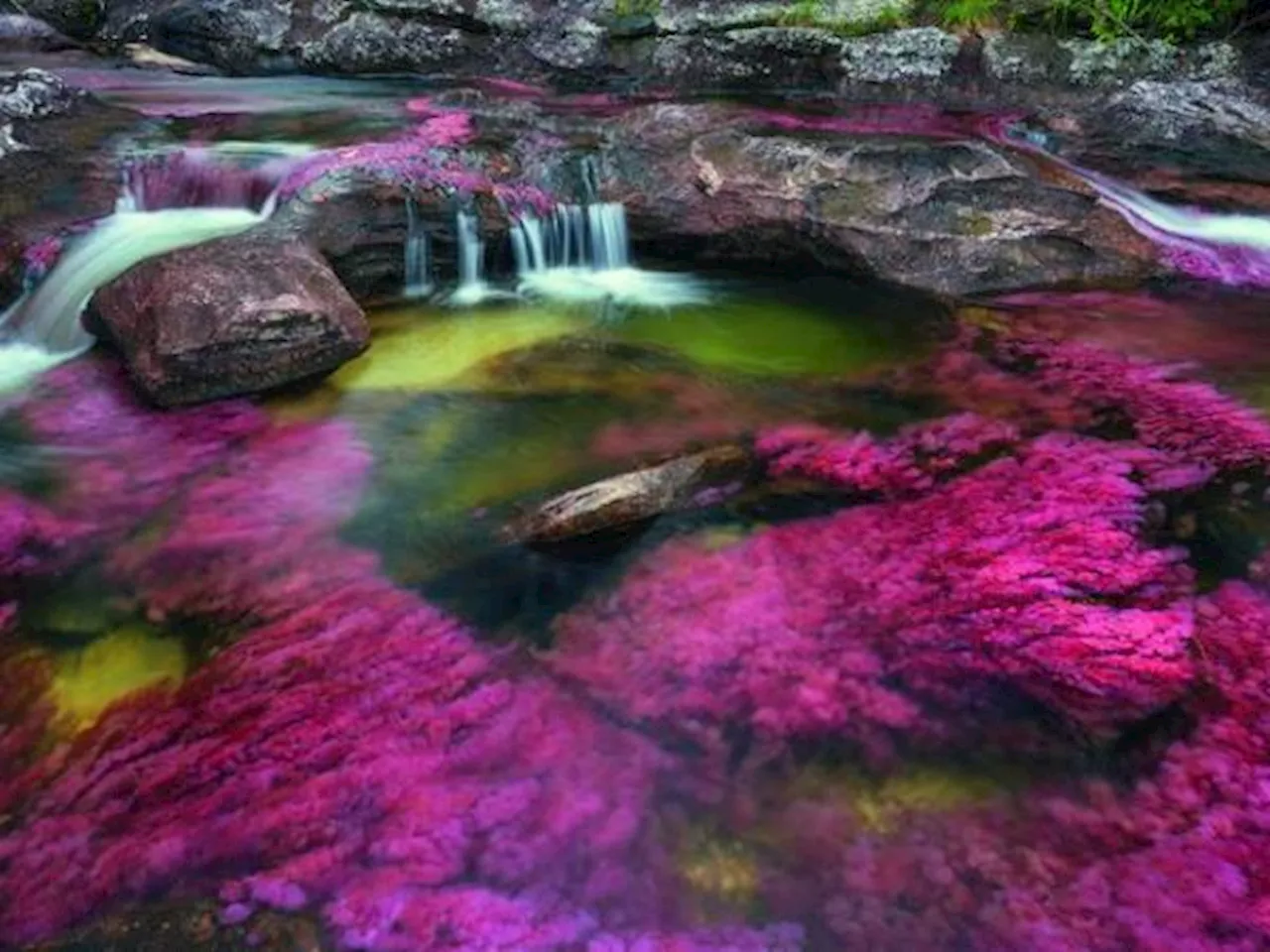 La aerolínea Satena retoma los vuelos hacia La Macarena (Caño Cristales)