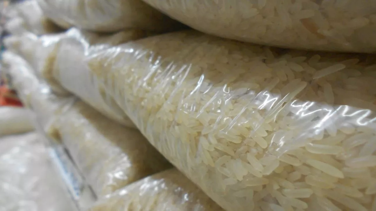 Canepa: Houve muito ruído e uma falha monumental com o leilão do arroz