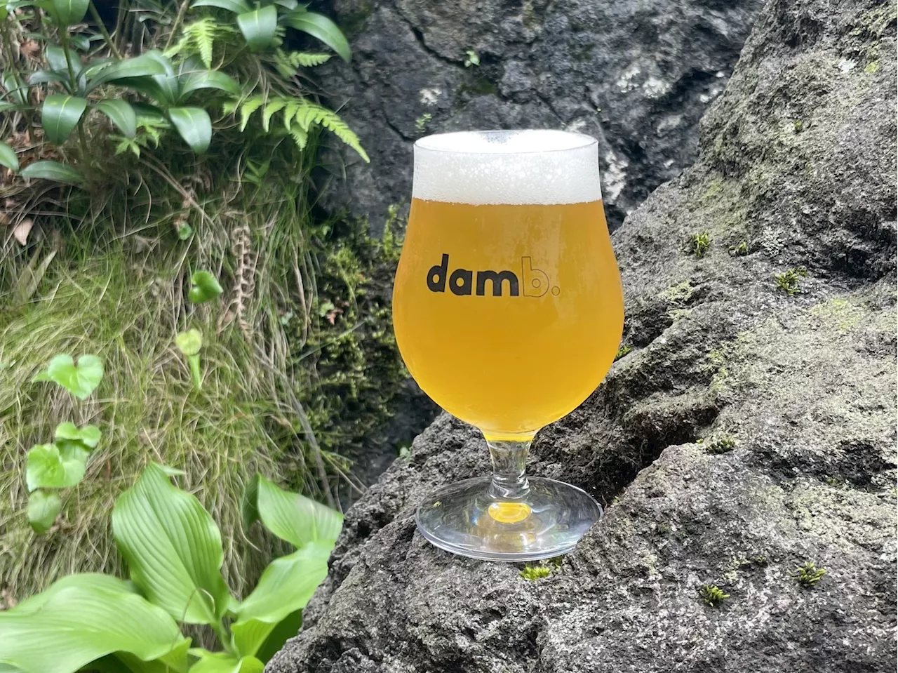 〈dam brewery restaurant〉で日本各地のブルワリーとコラボレーションするプロジェクト『JAPAN CRAFTBEER CROSSING』。