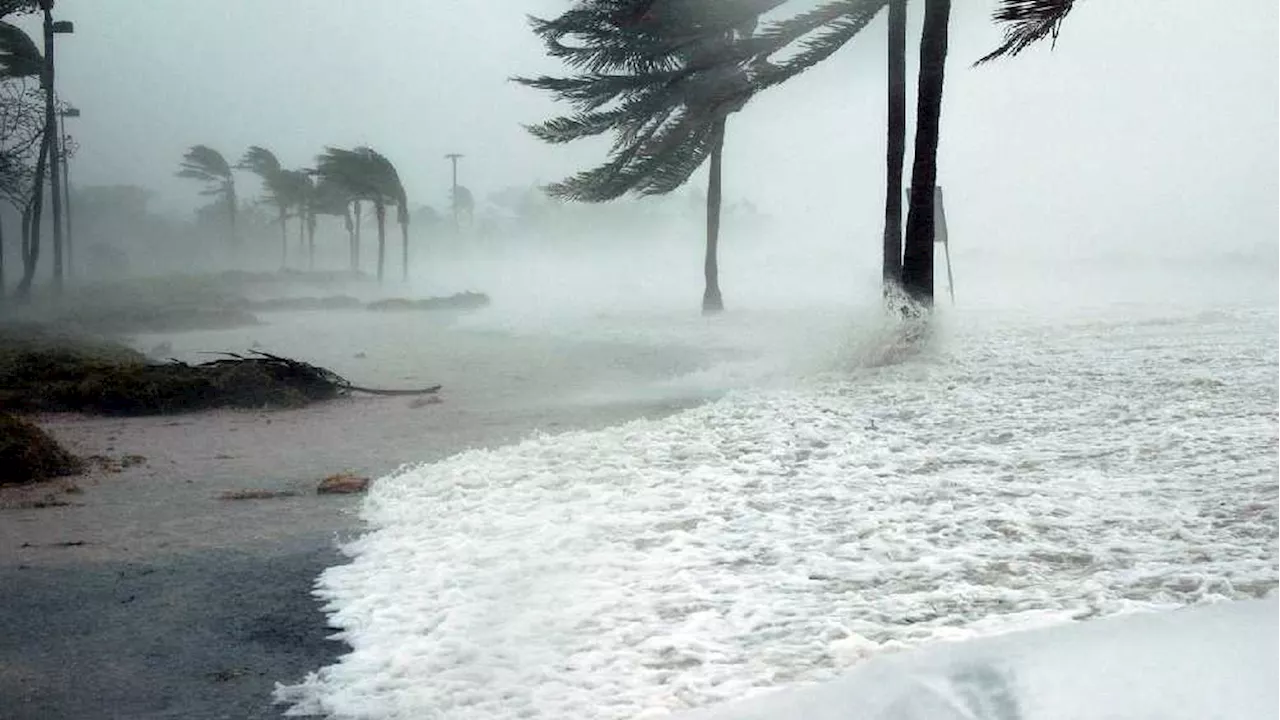 Autoridades desmienten amenaza del huracán Alberto para México