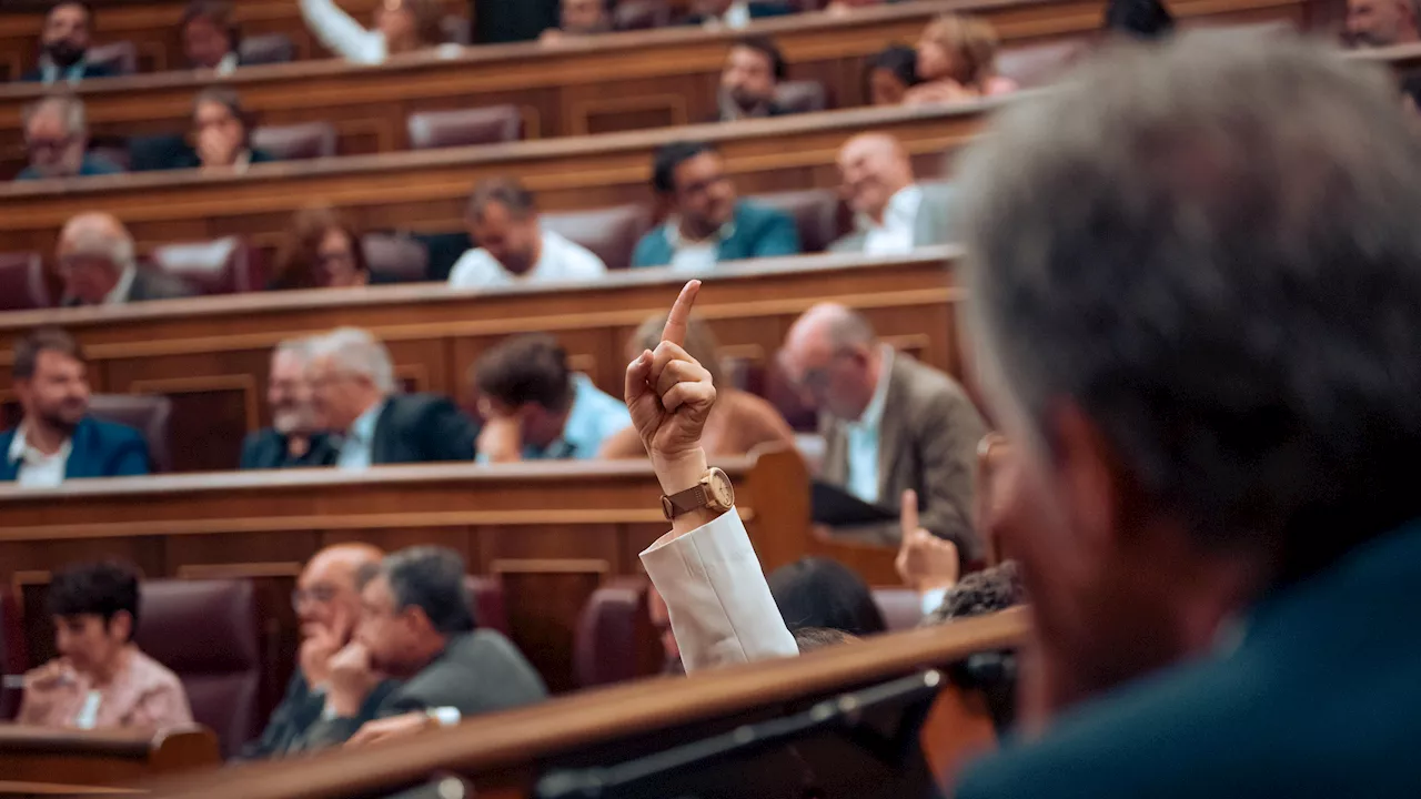 El PSOE apoya una propuesta del PP en el Congreso para endurecer el castigo por multirreincidencia en hurtos y estafa