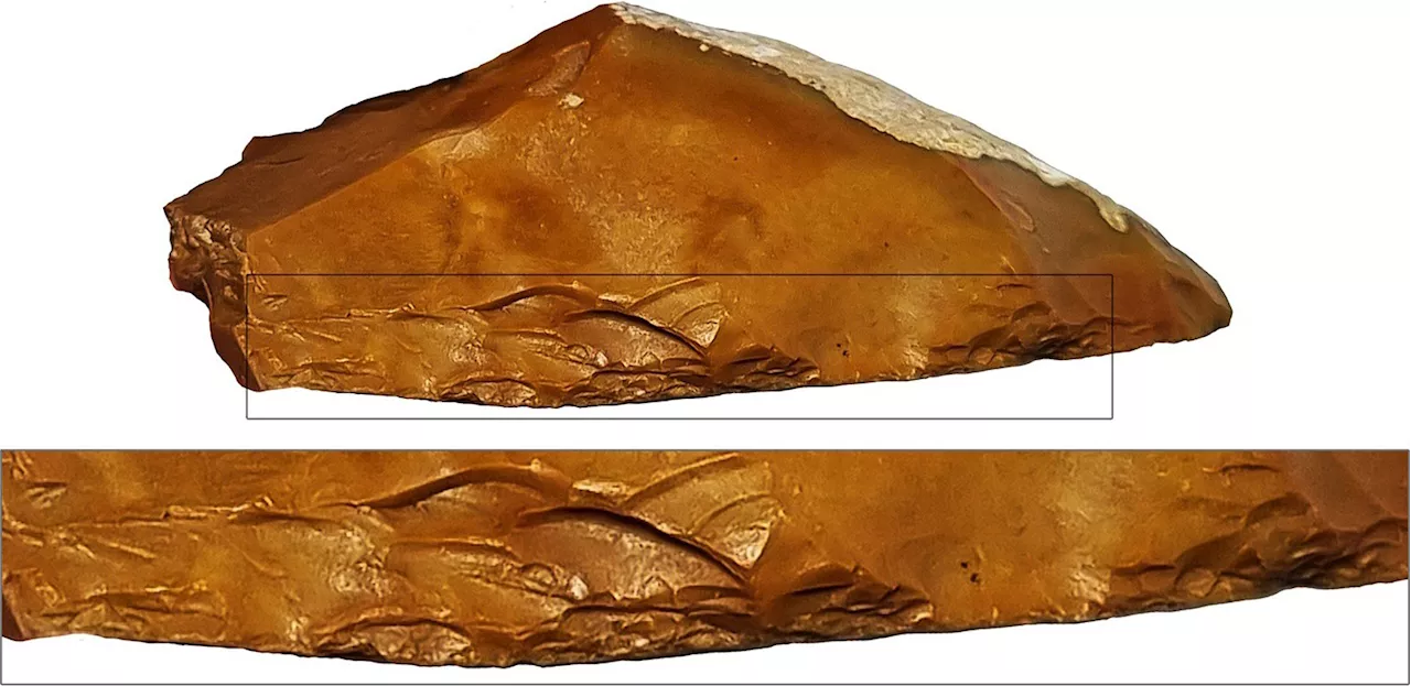 Archaeologists Discover 400,000-Year-Old Flint Tools That Transformed Prehistoric Hunting