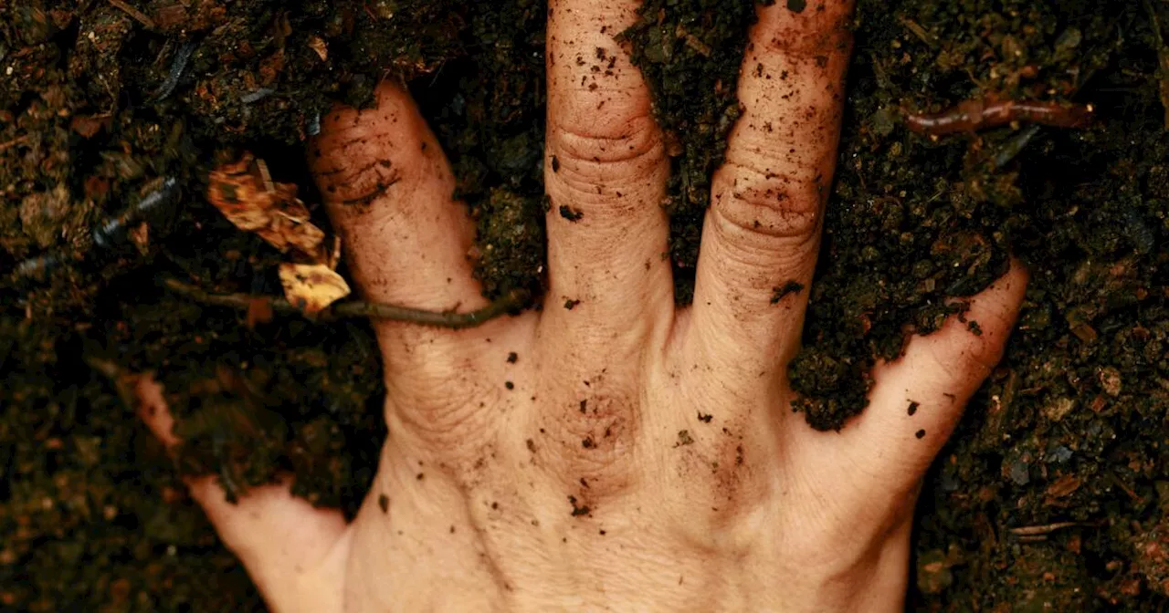 A little bit of dirt is surprisingly good for your health