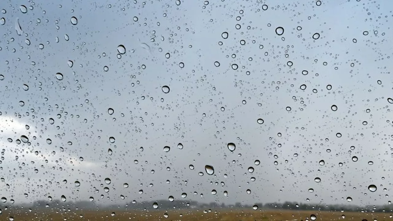 Wettervorhersage: Das Wetter im Norden: Viel Regen, Sturmböen und Gewitter