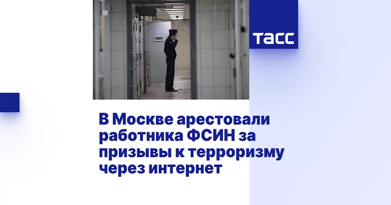 В Москве арестовали работника ФСИН за призывы к терроризму через интернет