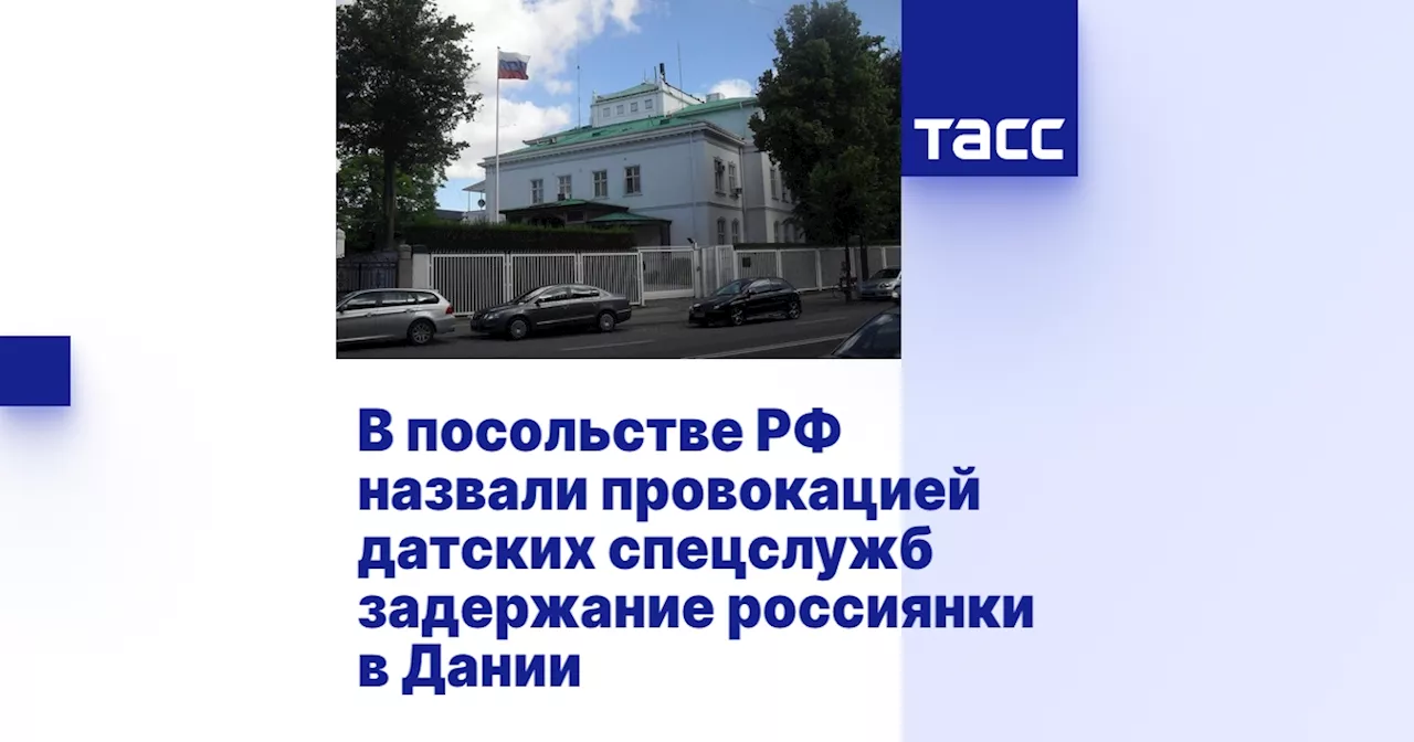 В посольстве РФ назвали провокацией датских спецслужб задержание россиянки в Дании