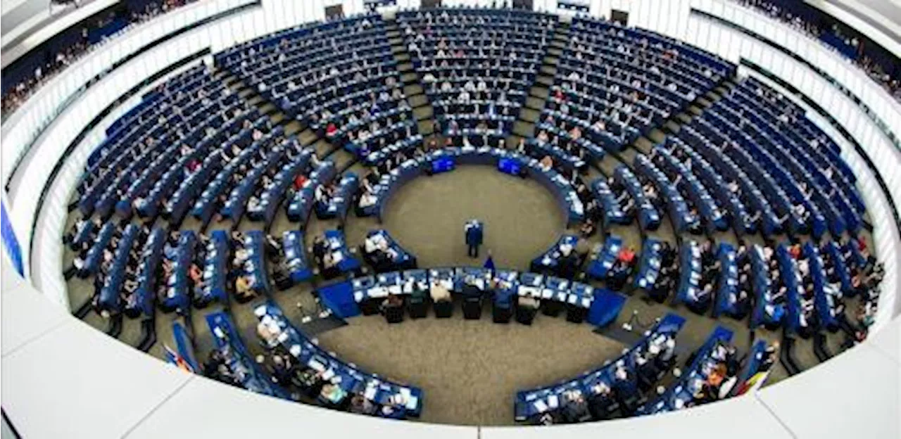 Risultati elezioni europee: tutti gli eletti partito per partito