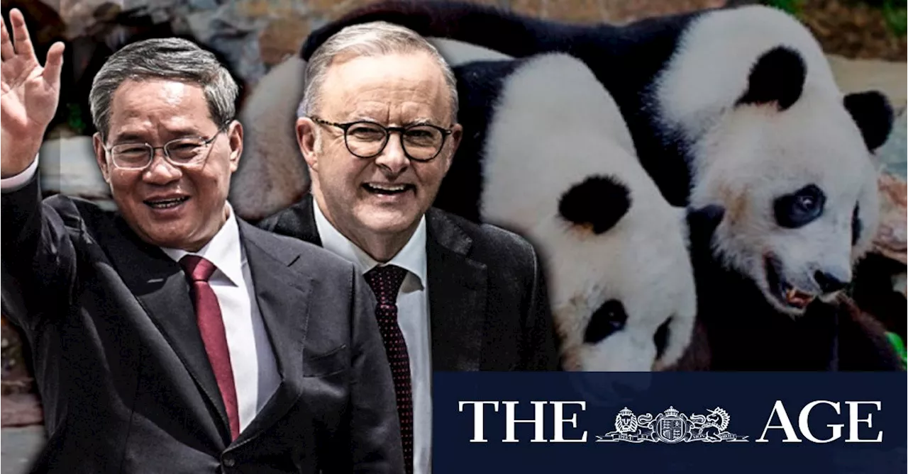 ‘Panda diplomacy’ takes centre stage during Chinese premier visit