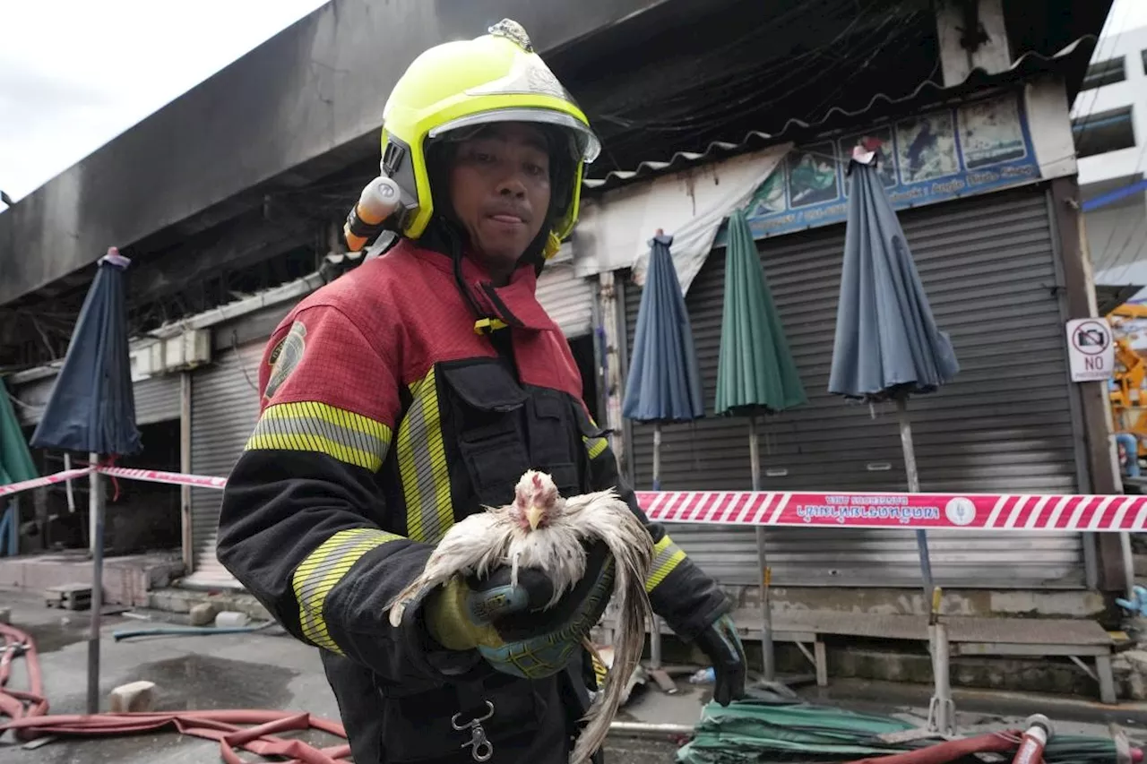 Fire at Thailand's famous Chatuchak Weekend Market kills hundreds of caged animals