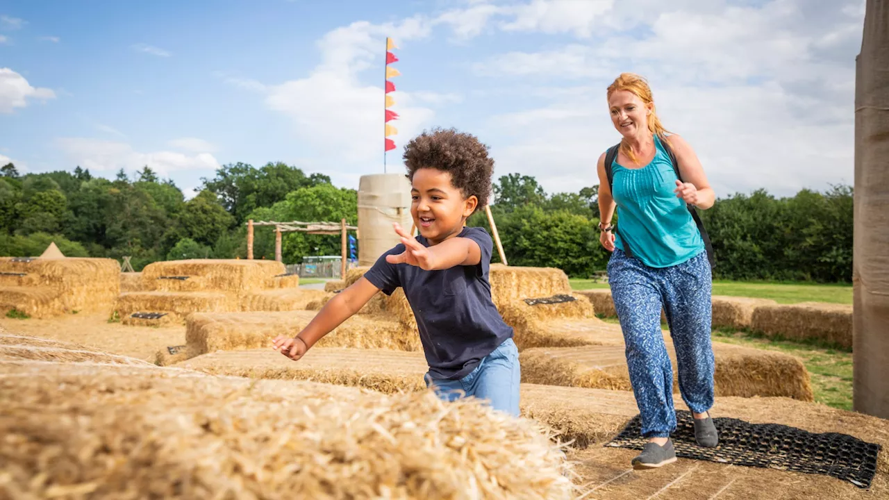 National Trust launches 180 free attractions and activities for kids this summer across the UK...