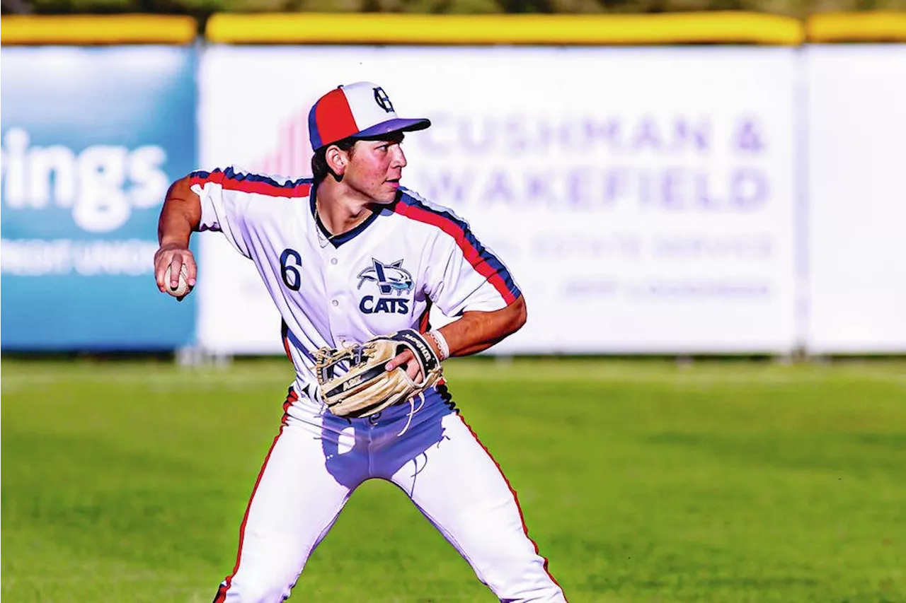 HarbourCats and NightOwls set to renew Island rivalry