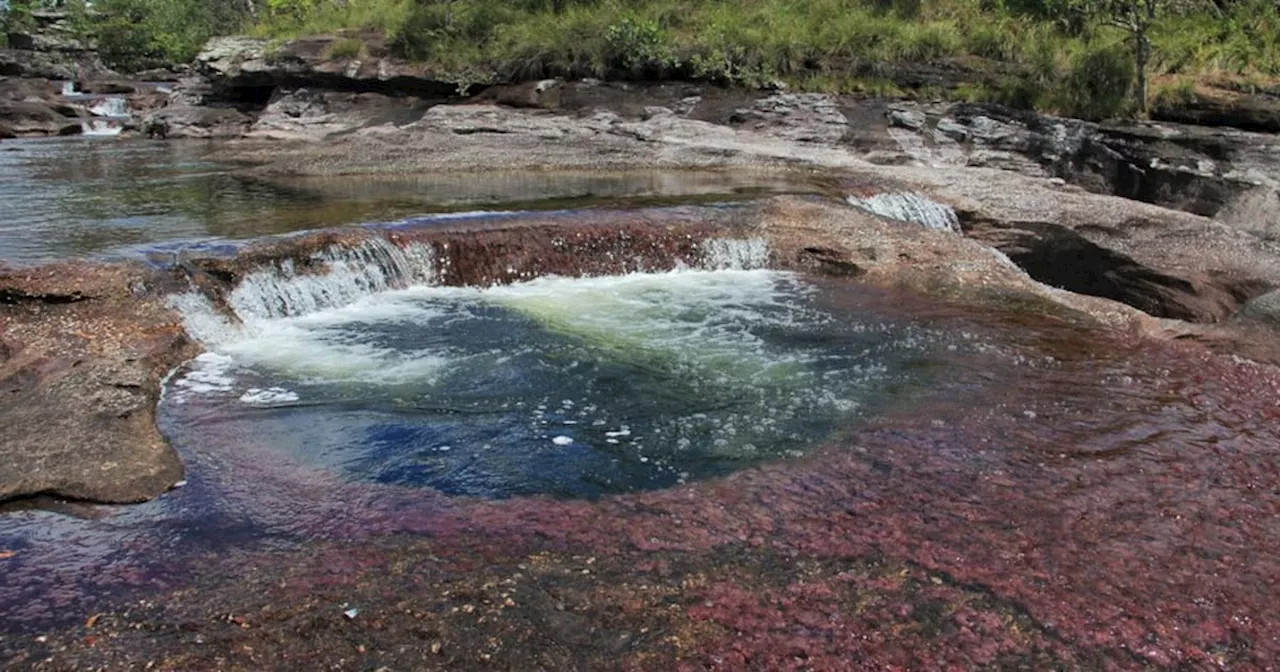 Satena retoma vuelos a La Macarena, Meta, para visitar Caño Cristales