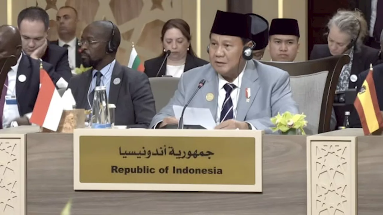 Bicara di KTT untuk Gaza, Prabowo Tegaskan Dukungan Kemerdekaan Palestina