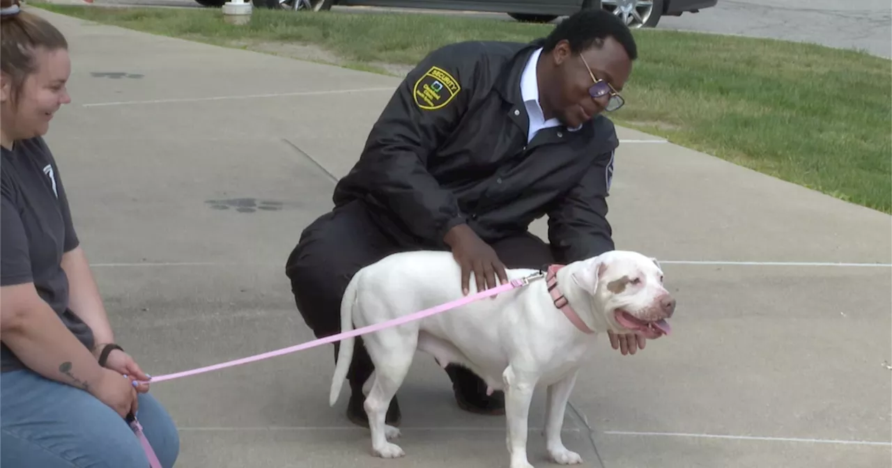 Cleveland Clinic security officer reunited with dog he rescued from Lake Erie in Euclid