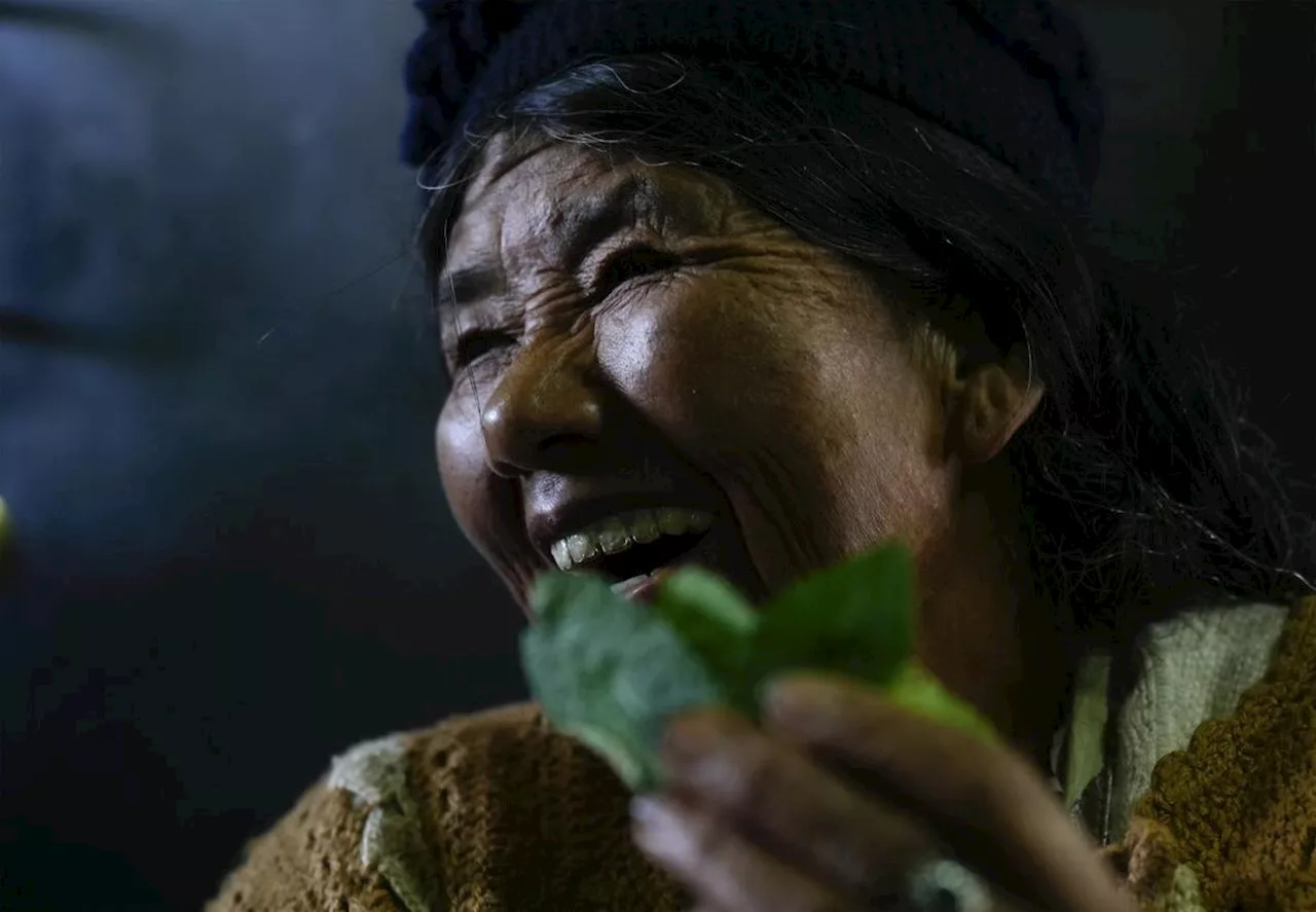 A brew of ancient coca is Bolivia's buzzy new beer. But it's unclear if the world will buy in