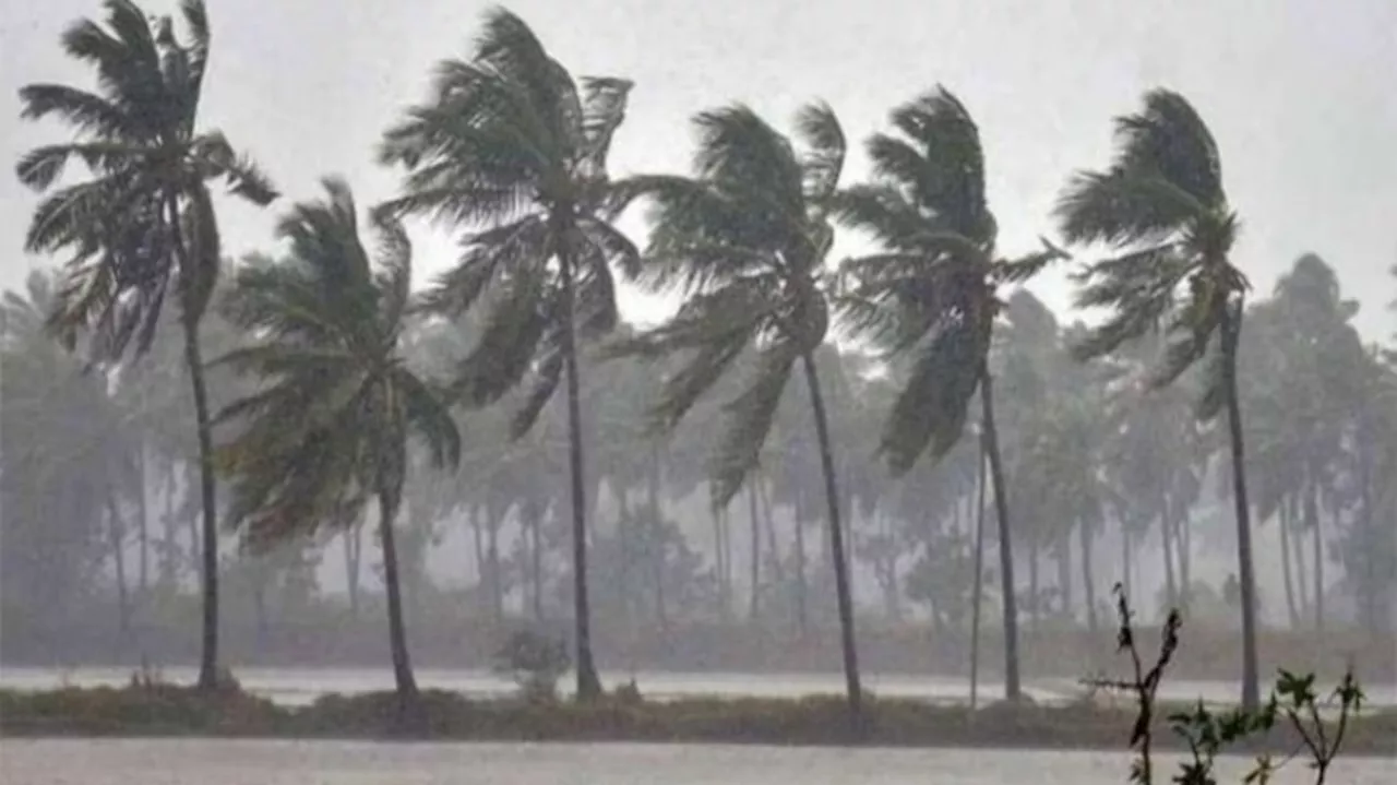 Kerala Weather: ഈ ജില്ലയിലാണോ നിങ്ങൾ? മഴ പെയ്യാൻ സാധ്യത! യെല്ലോ അലർട്ട് പ്രഖ്യാപിച്ചു