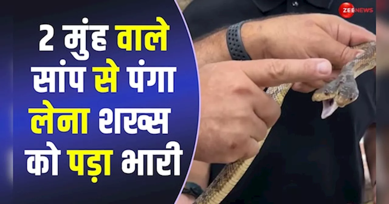 Snake Video: 2 मुंह वाले सांप से पंगा लेना शख्स को पड़ा भारी, 15 सेकंड में निकल गई हेकड़ी