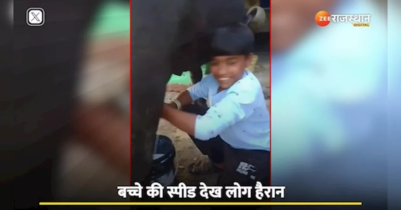 Viral Video: इतनी तेजी में बच्चे ने निकाला भैंस का दूध, स्पीड देख लोगों ने कहा राजस्थान की बात ही निराली