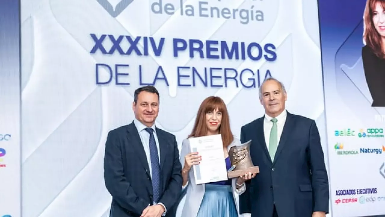 Clara Pinar, periodista de '20minutos', galardonada en los XXXIV Premios de la Energía