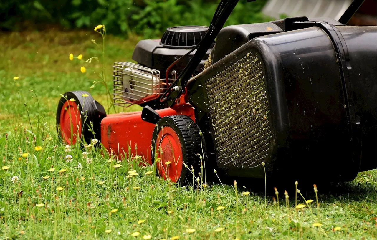 Arnaque à la tondeuse : Attention aux escrocs qui promettent d’entretenir votre jardin