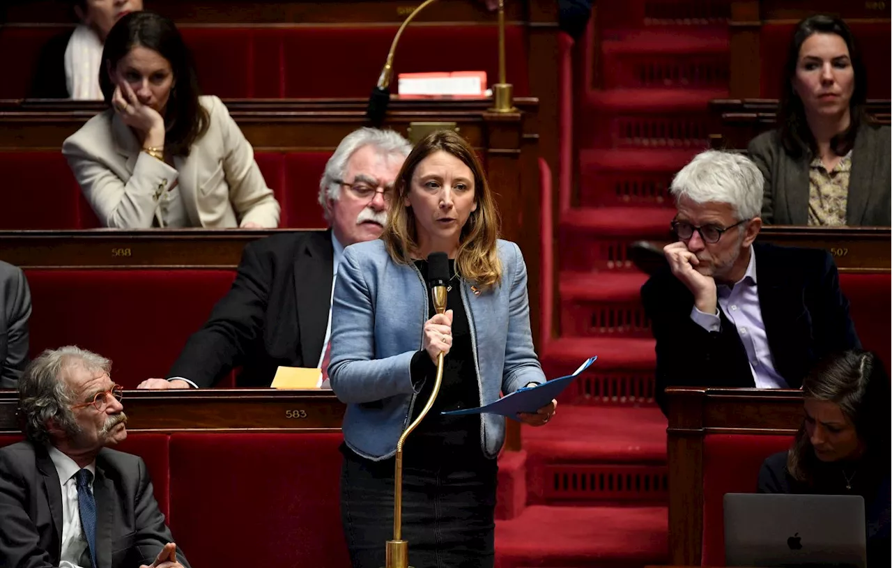 Elections législatives 2024 : Les députés sortants tous candidats pour une bis repetita ?