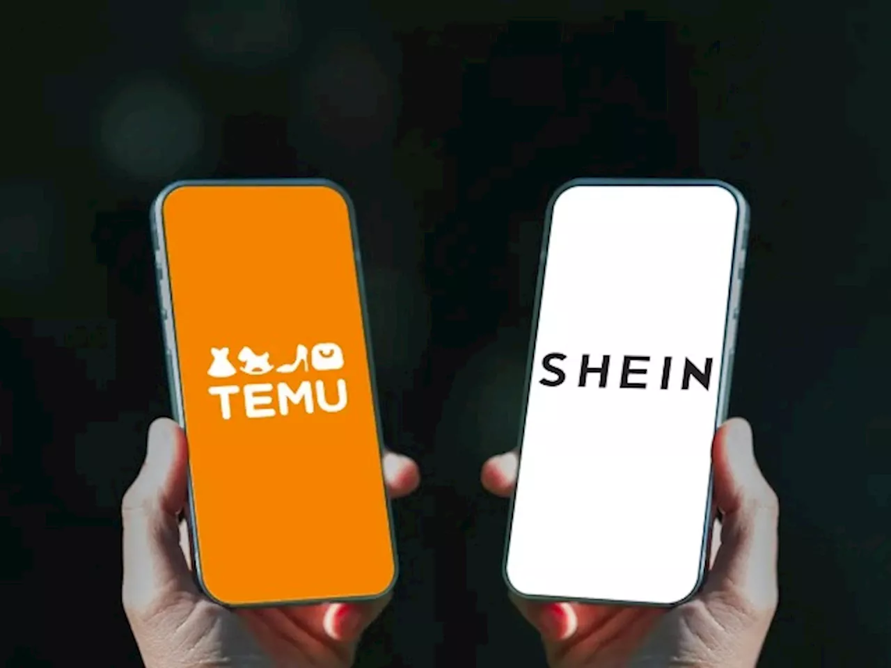 SARS Is Cracking Down On Temu And Shein In South Africa – And Why You Should Too