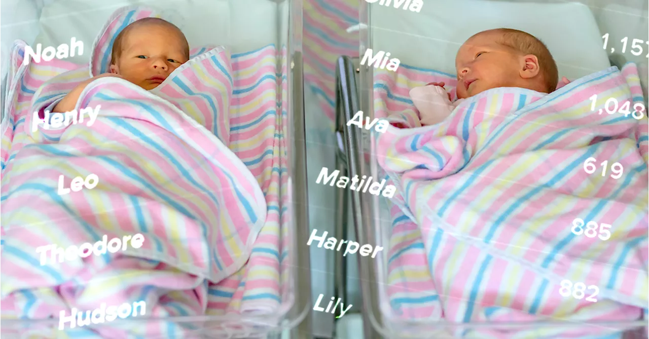 Top baby names for 2023 revealed