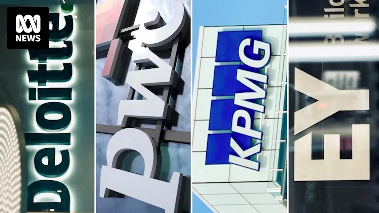 Big Four consulting firms 'operating in the shadows for too long' as Senate demands new rules for government contracts