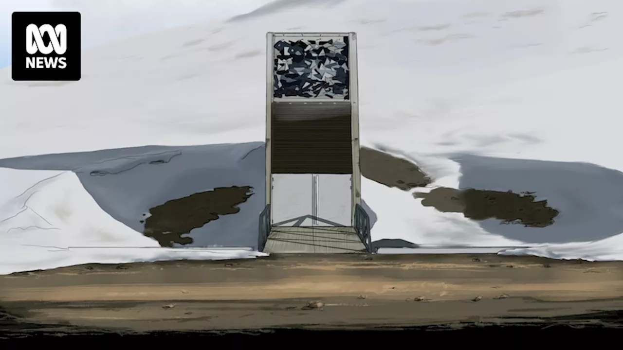 Inside the doomsday vault, these scientists are fighting civil war and climate change to feed a hungry globe