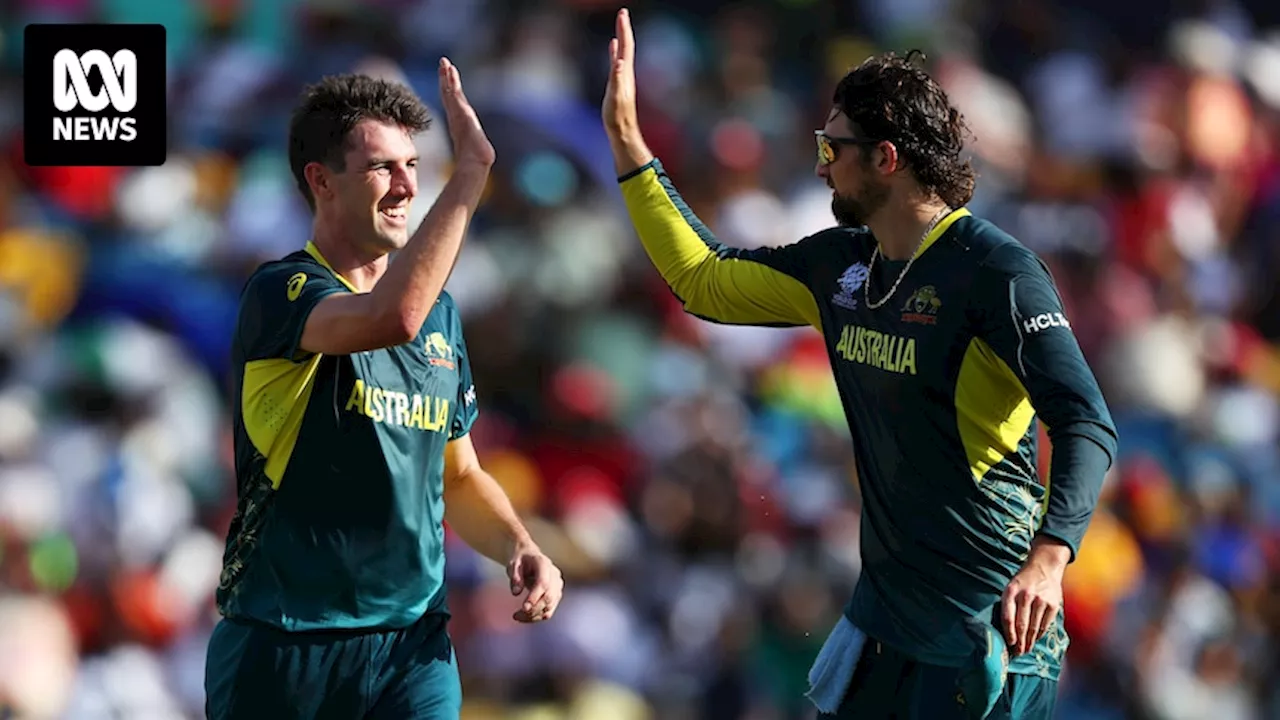 Live updates: T20 Cricket World Cup - Australia vs Namibia in North Sound