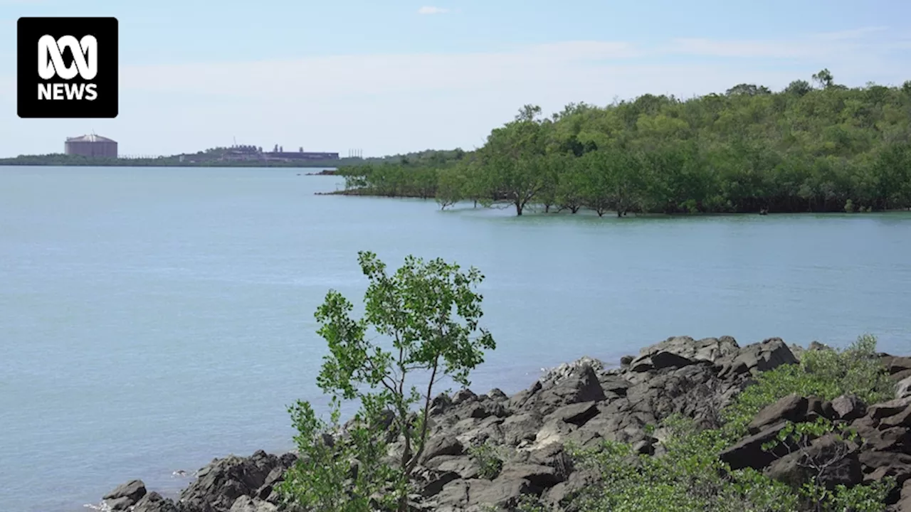 NT leprosy case sparks outrage over disparity in Indigenous health outcomes