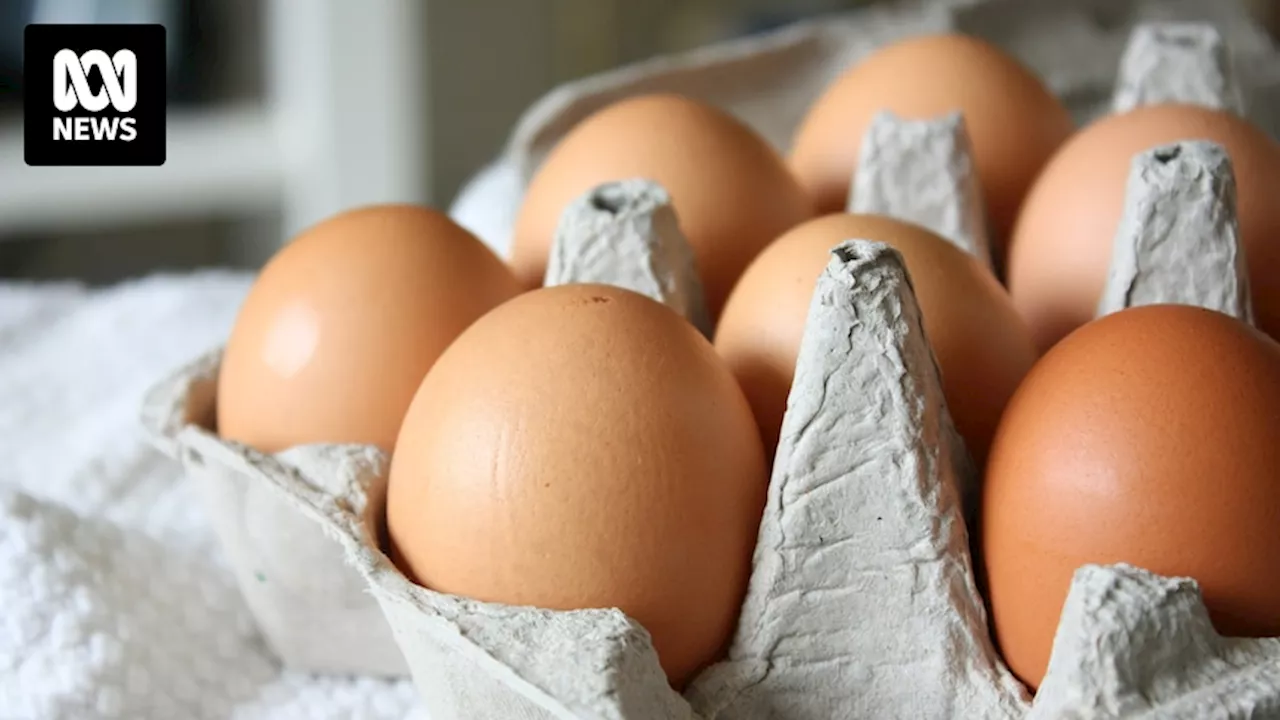 The best way to store eggs and how to know if they've gone bad