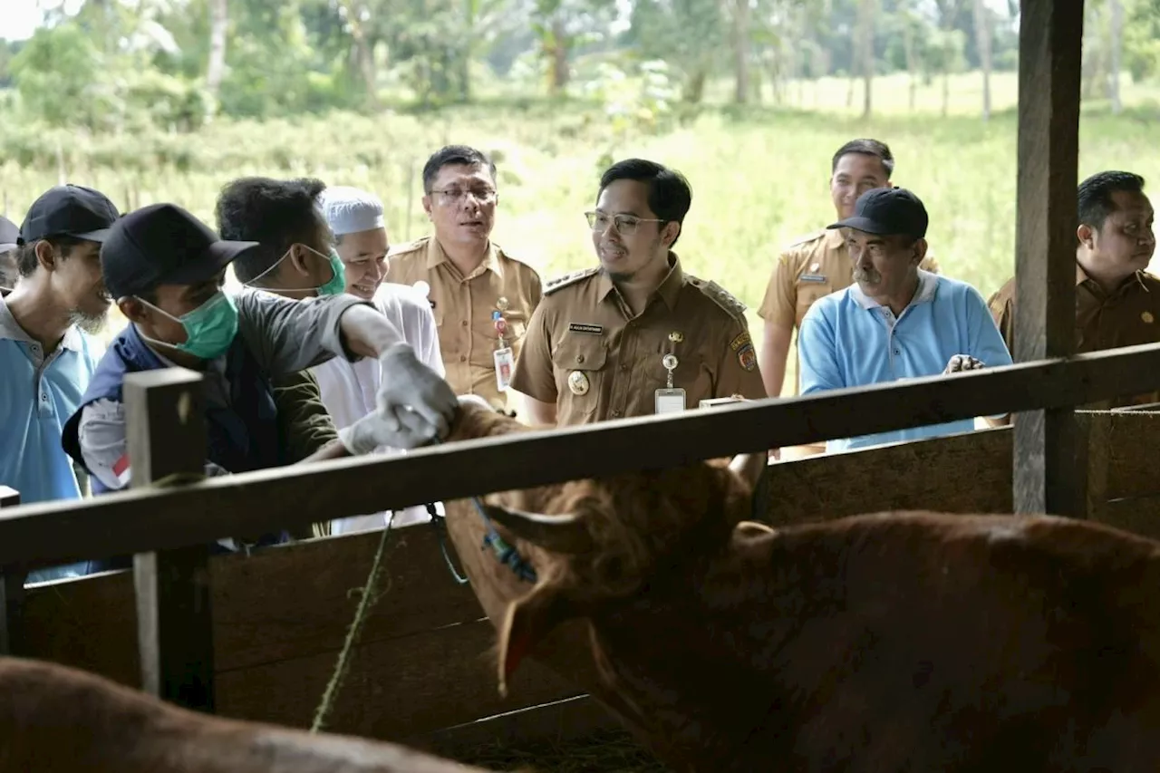 Pemkab HST gelar pelatihan bagi juru sembelih hewan kurban