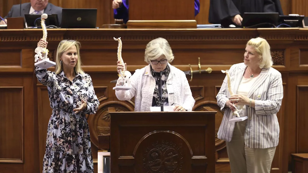 GOP women who helped defeat a near-total abortion ban are losing reelection in South Carolina