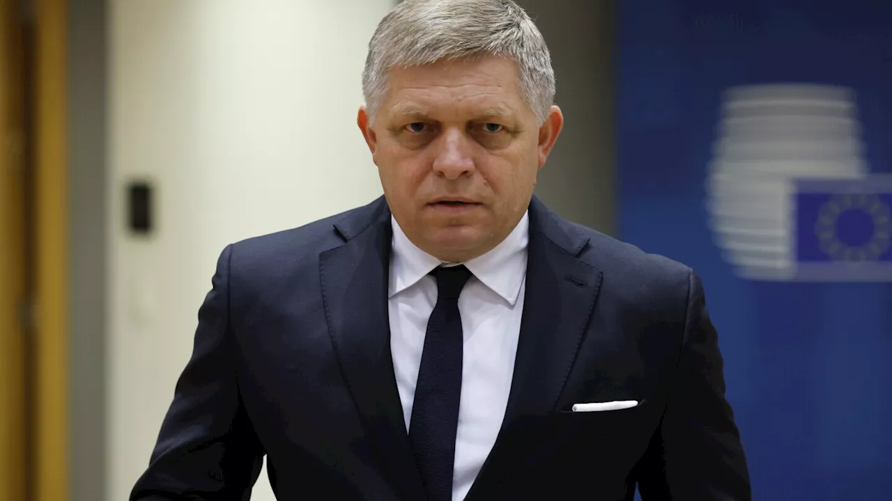 Slovakia plans to boost politicians' protection after assassination attempt on populist premier