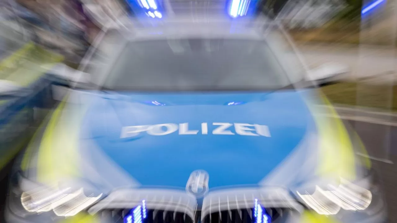 Polizei rettet Babykatze von Autobahn