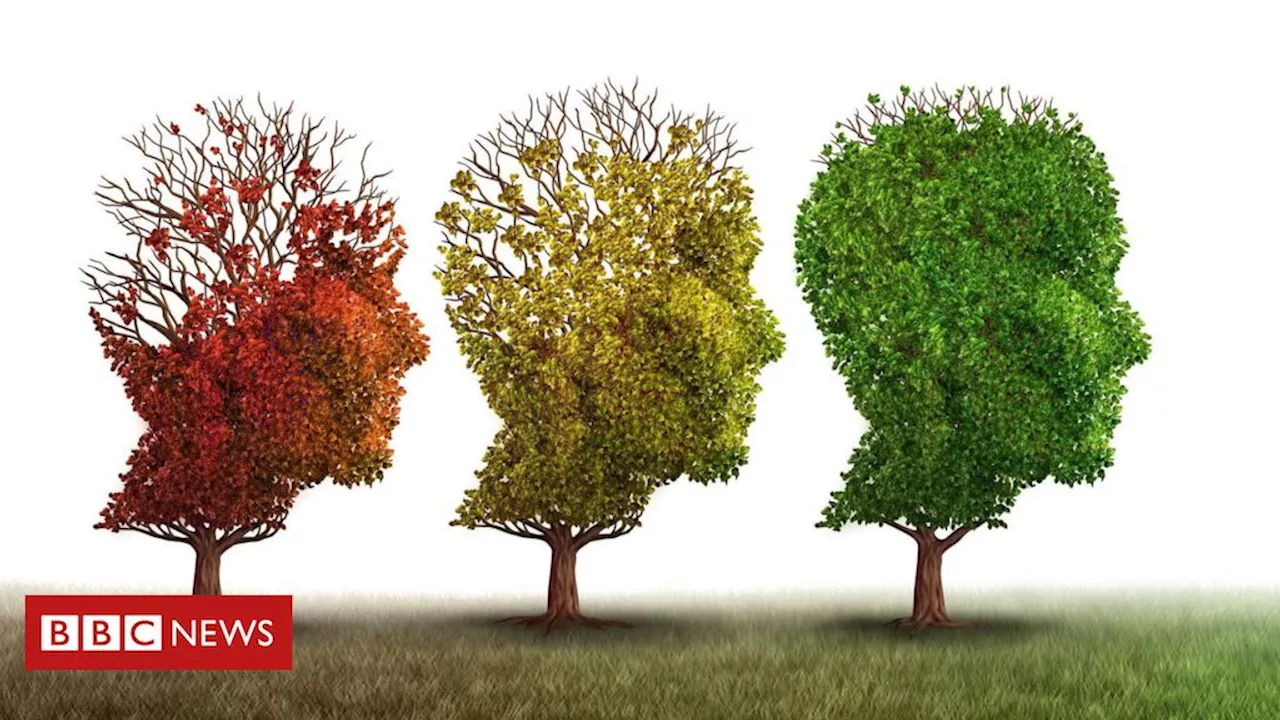 Qual a diferença entre Alzheimer e demência?