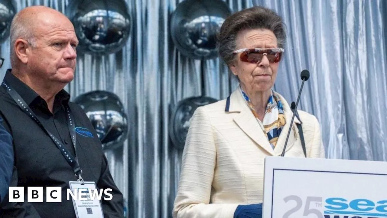 Princess Royal shown around Norfolk boat at Seawork show