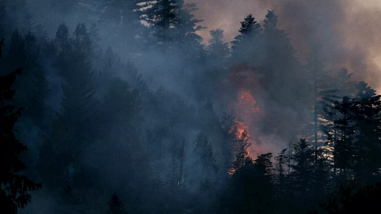 Le gouvernement alerte sur les feux de forêt dont neuf sur dix sont 'd'origine humaine'