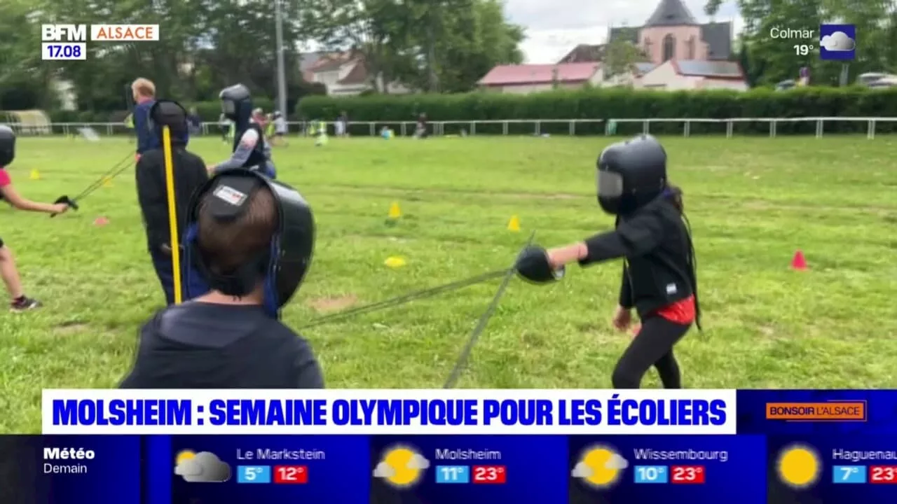 Molsheim: semaine olympique pour les 620 écoliers