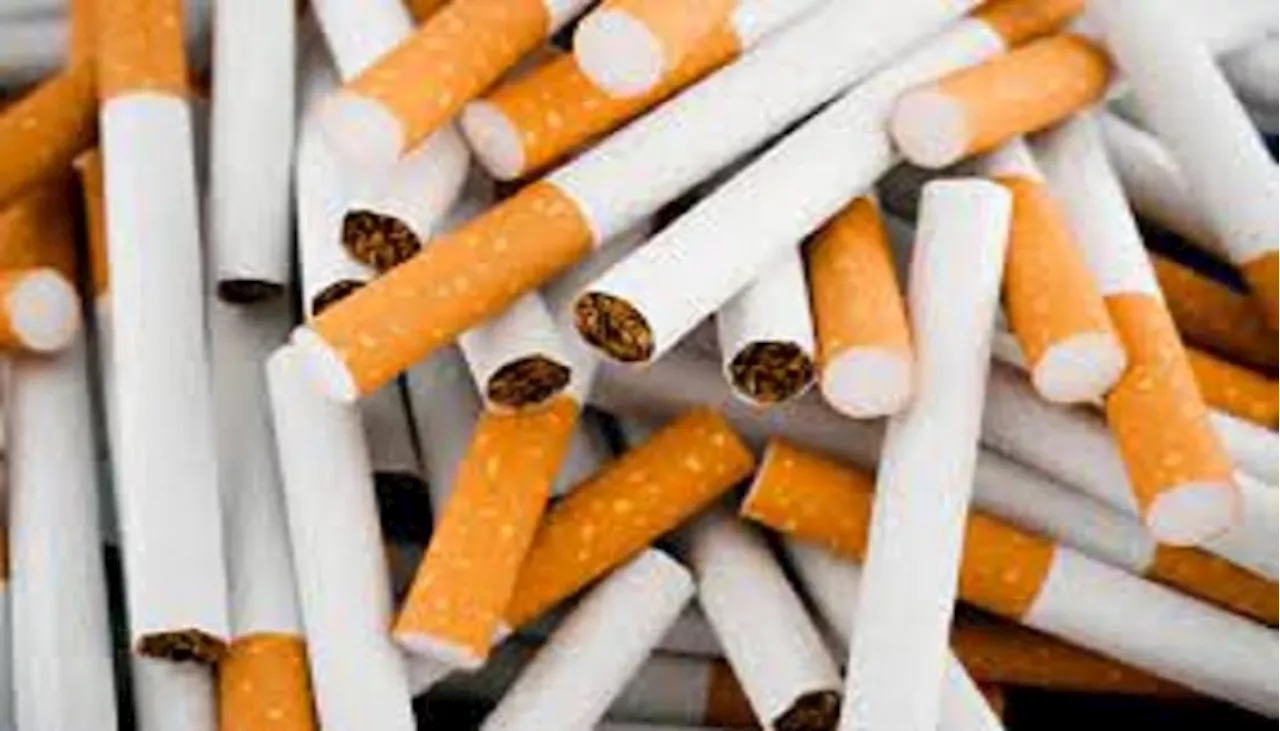 Smuggled, untaxed cigarettes: strict measures proposed