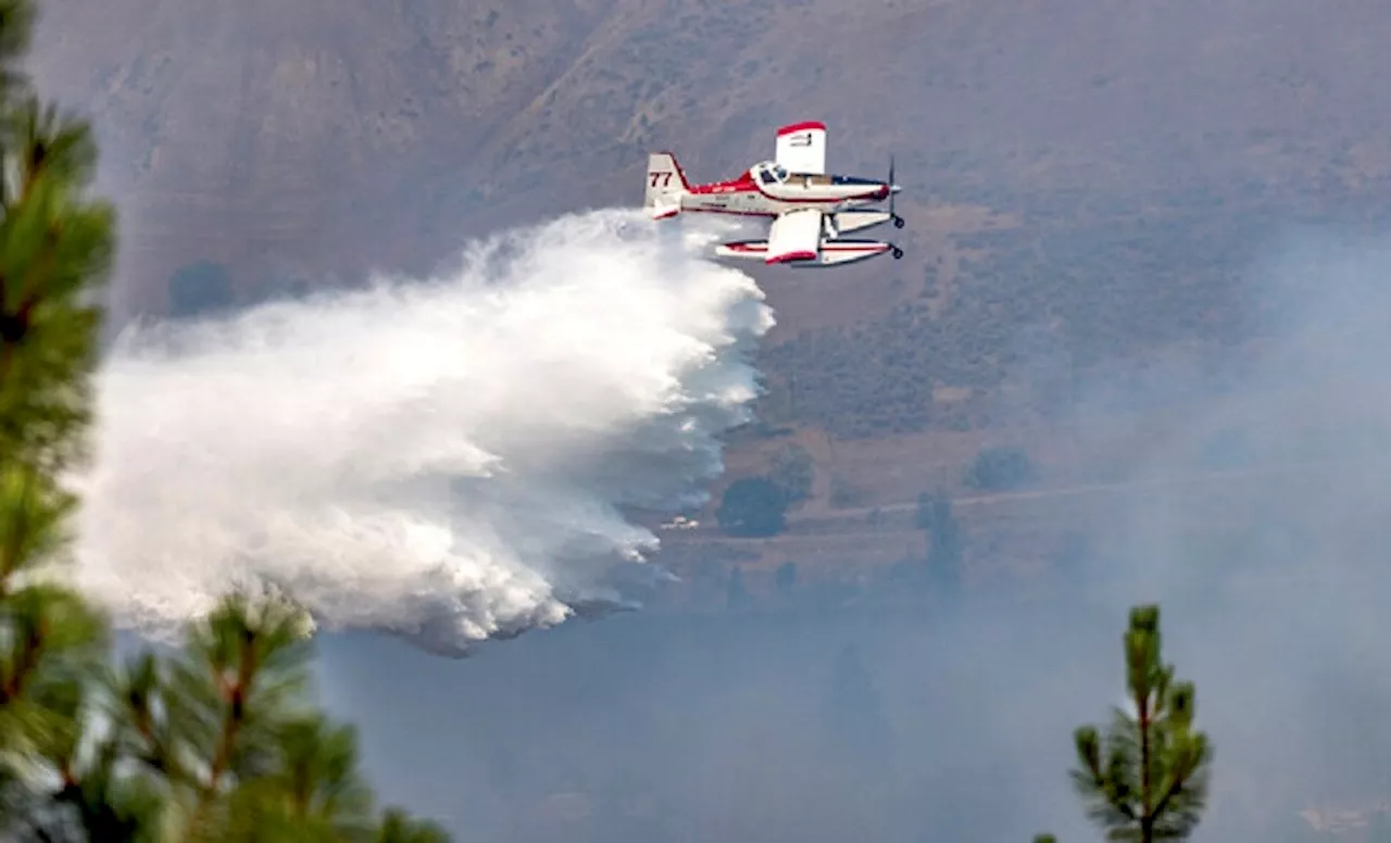 BCWS anticipating busy wildfire season, but not as extreme as record-breaking 2023