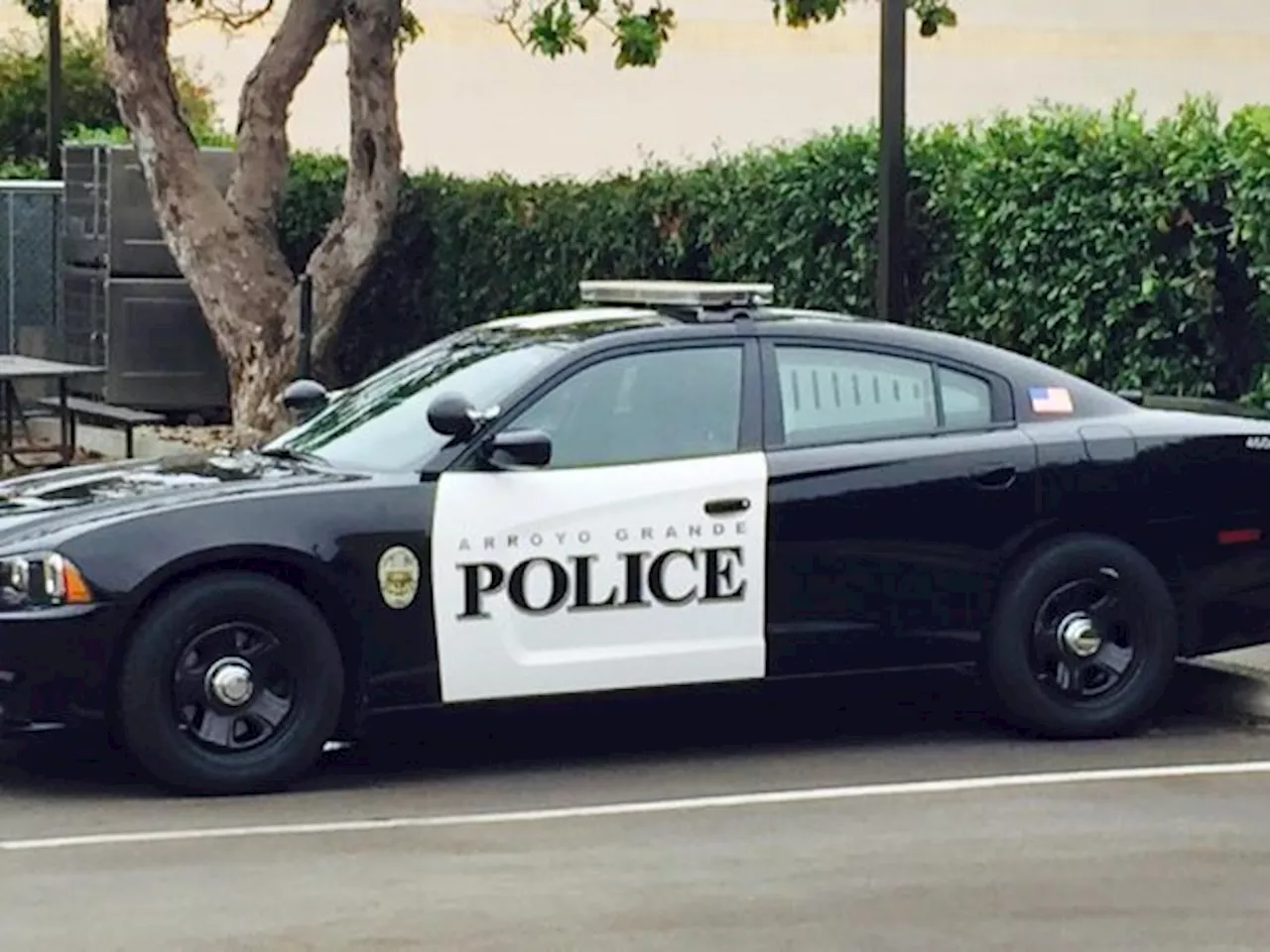 Arroyo Grande police arrest drunken suspect who locked himself inside stolen Tesla