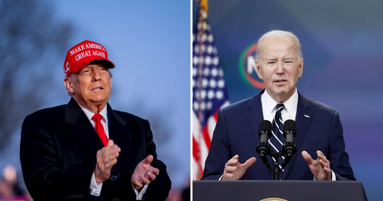 Poll analysis: Do Trump and Biden have the mental and cognitive health to serve as president?