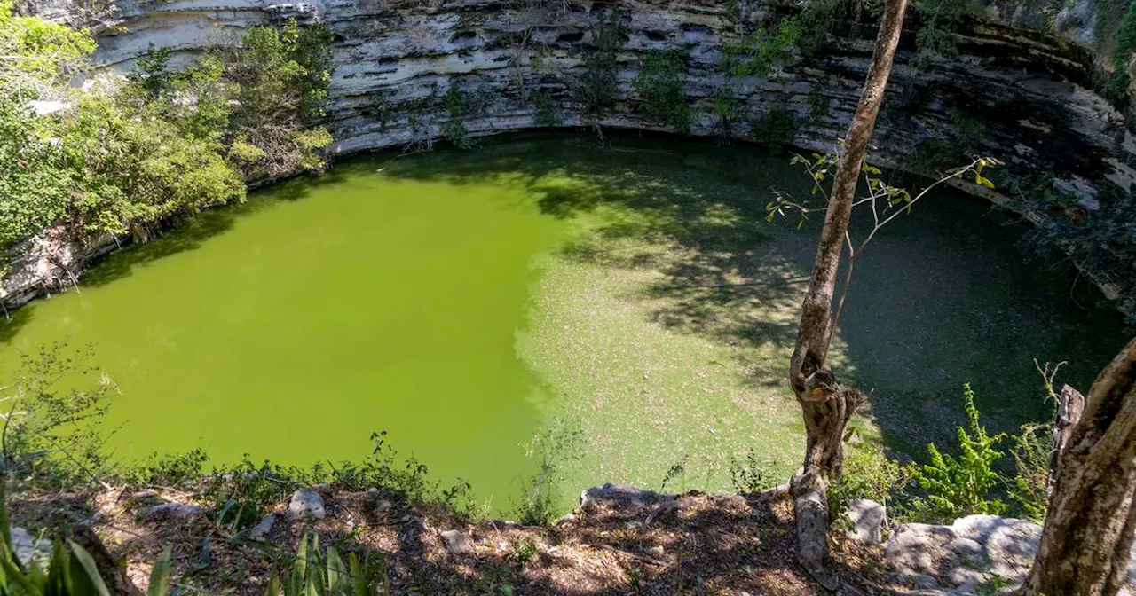 DNA reveals ritual of sacrificing boys, including twins, in ancient Mayan city, scientists say