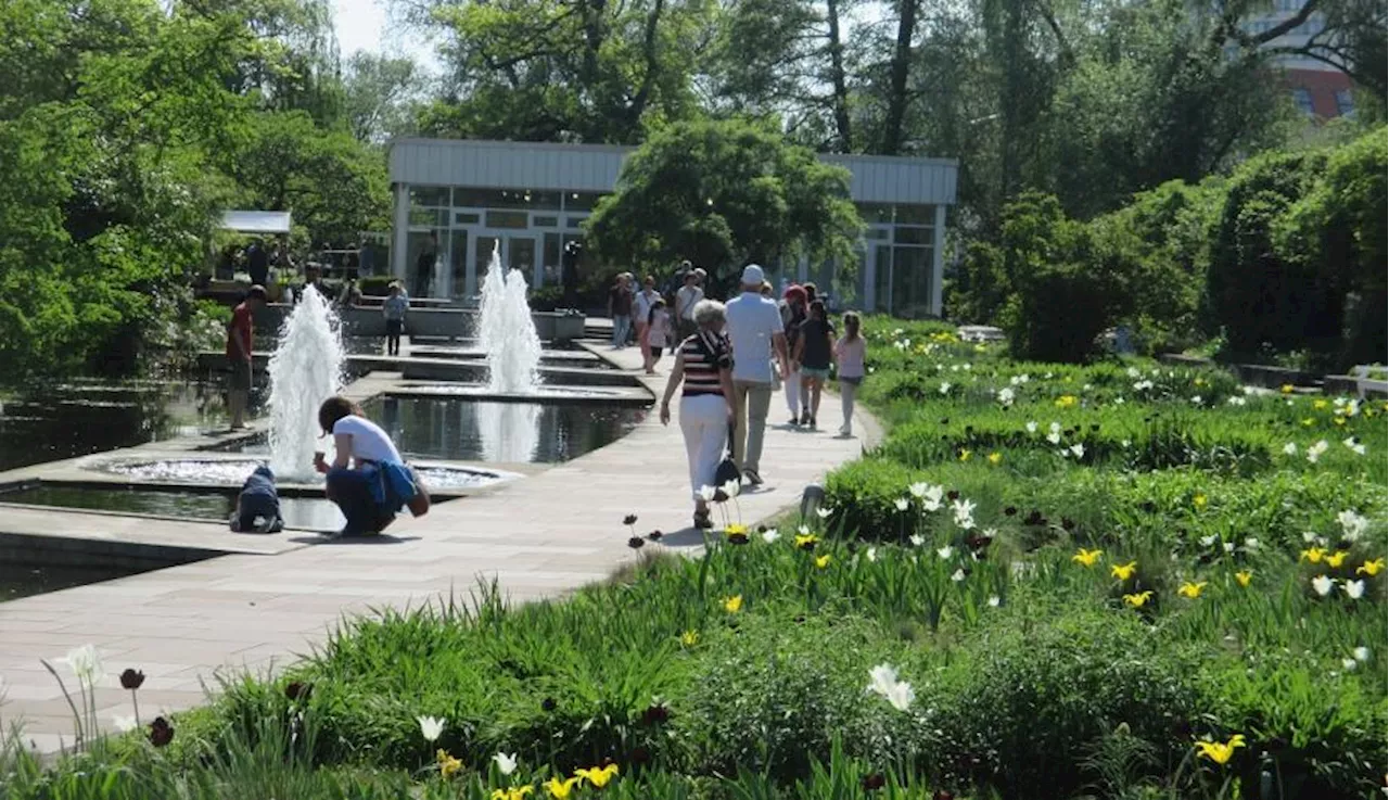 Ideen für die Zukunft der öffentlichen Parks und Grünflächen gesucht