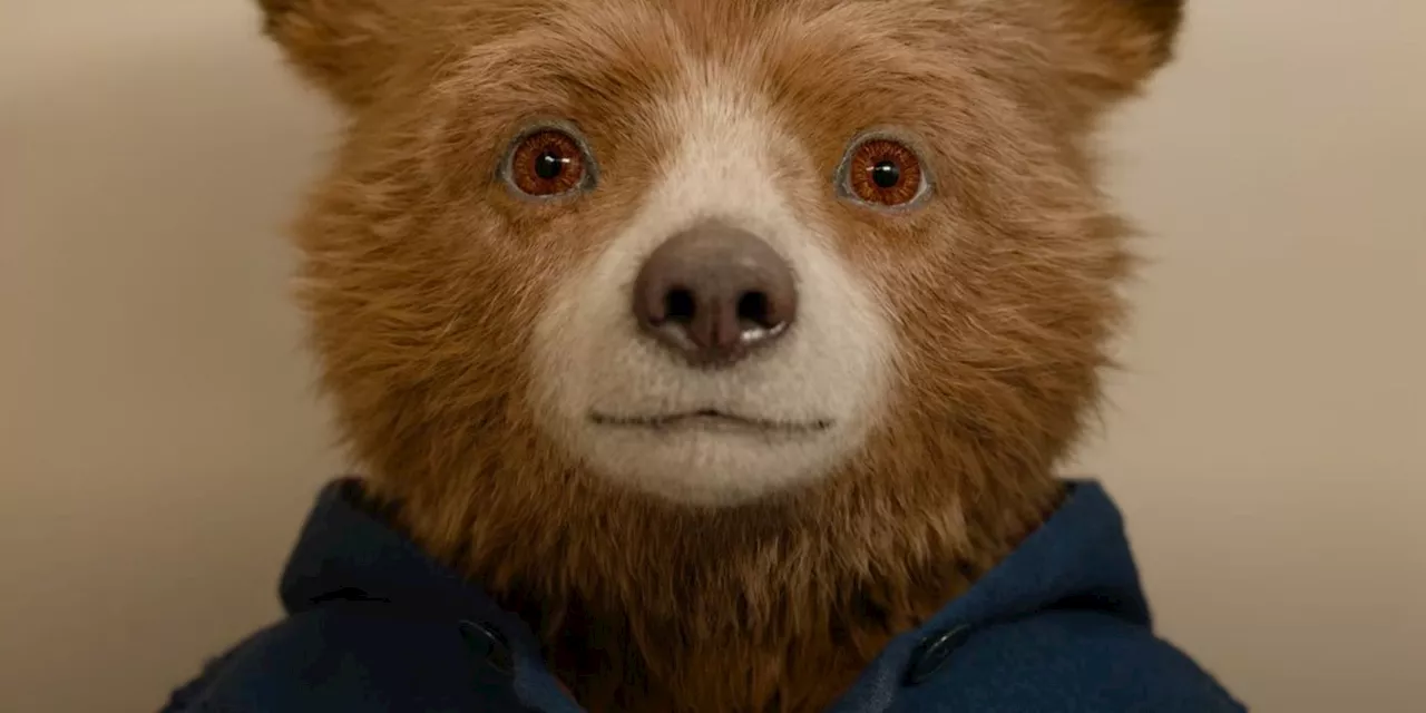 Our Favorite Bear Hits South America in 'Paddington in Peru' Trailer