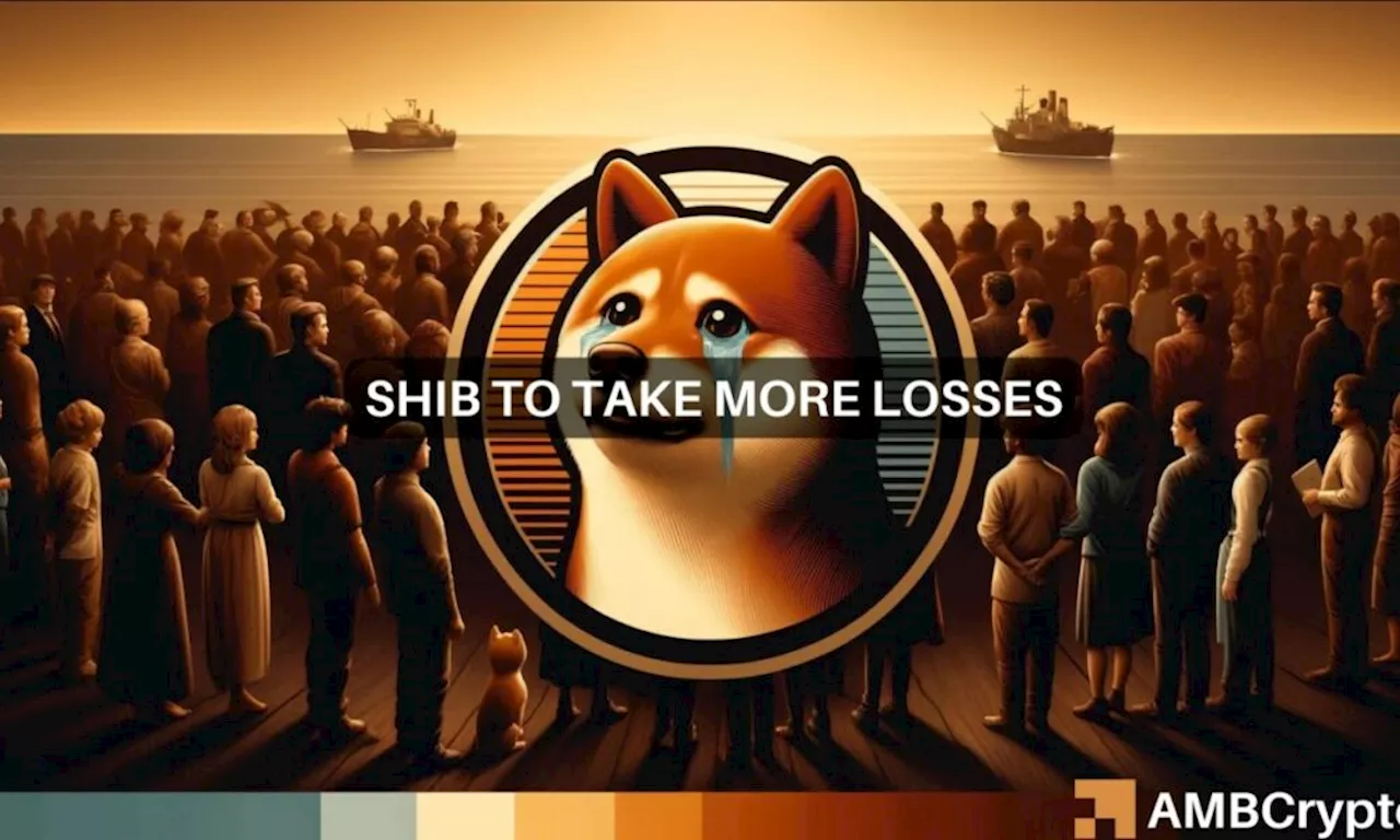 Shiba Inu’s [SHIB] 10% plunge in 7 days, explained