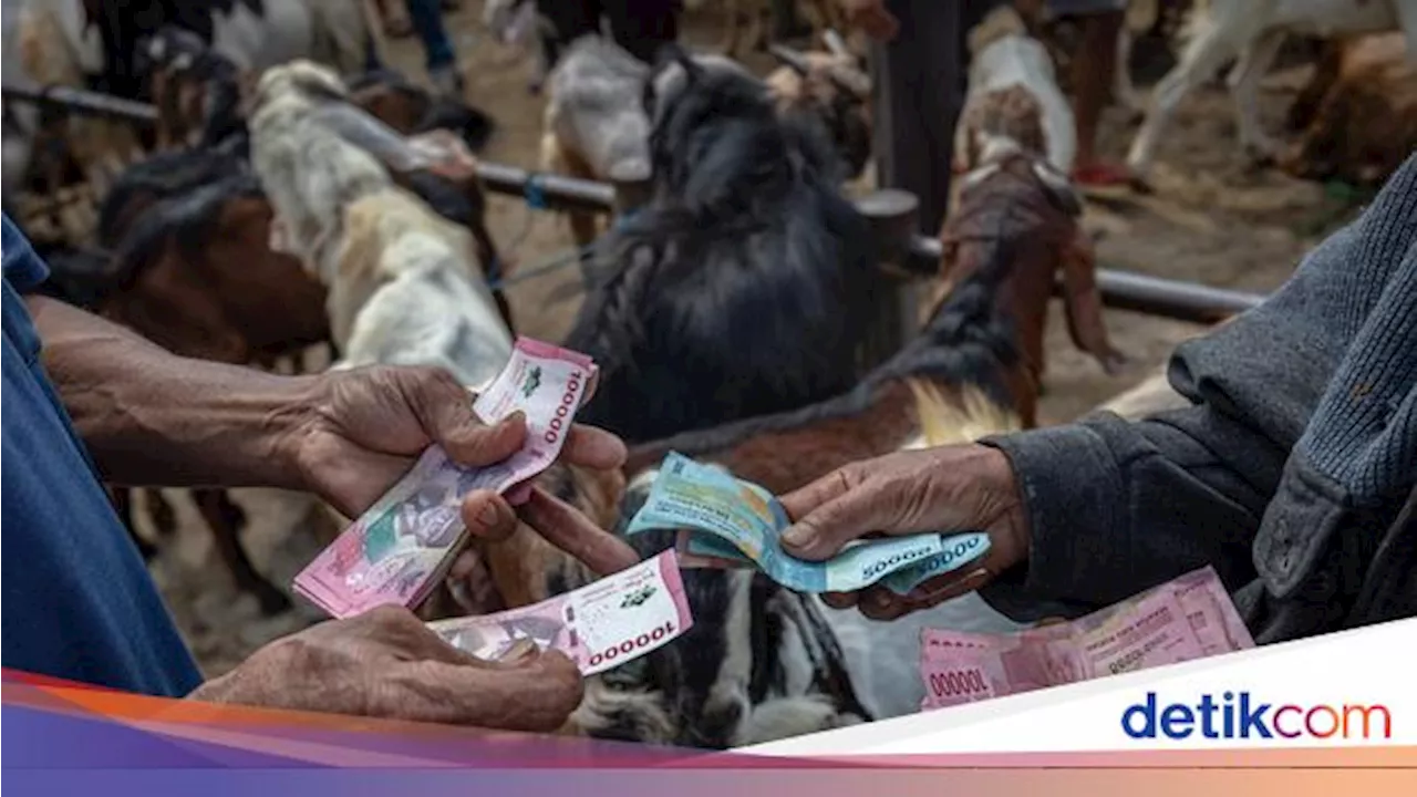 Apa Hukumnya Berkurban bagi yang Mampu? Ini Penjelasannya